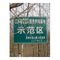 邳州達(dá)豐銀杏全國(guó)銀杏示范基地