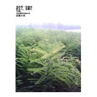 供國槐苗，椿樹苗，法桐苗，白蠟苗，北欒苗