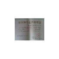 香玲核桃苗