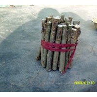 供108速生楊，千頭椿,臭椿,白臘,合歡,柳樹,毛白楊