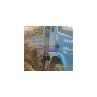 專供榆樹