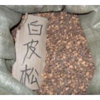 白皮松種子，白皮松種子，白皮松種子，白皮松種子，白皮松種子價