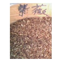 供應(yīng)：杉樹(shù)種子、美麗異木棉種子、檀香種子、楠木種子、藍(lán)花楹種
