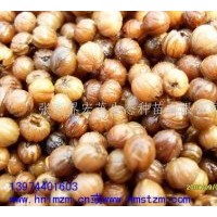 供應(yīng)瑞木、女兒木、六角樹