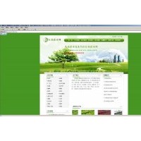 常年低價(jià)現(xiàn)貨供應(yīng)豐花月季、海桐，紫荊、紫薇、紅葉李、國槐，龍