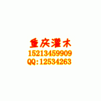 重慶常年供應(yīng)各種喬木、灌木：紅葉石楠、金葉女貞、紅繼木、南天