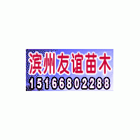 大量供應(yīng)白蠟