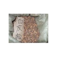長(zhǎng)期供應(yīng)白皮松種籽、油松種籽、側(cè)柏種籽、華山松種籽、樟子松種