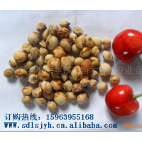 供應(yīng)櫻桃苗、櫻桃實(shí)生苗、櫻桃嫁接苗、櫻桃種子