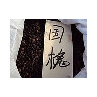 常年出售花卉苗木種子：紅豆杉種子，漆樹種子