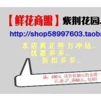供應(yīng)紫荊，紅瑞木，連翹，木槿