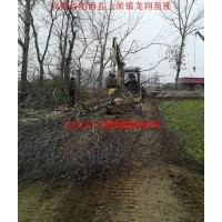 烏桕、三角楓、構(gòu)樹、刺槐、樸樹、榔榆、黃連木