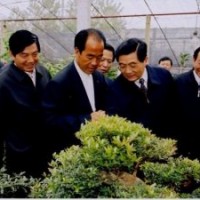 紅梅、臘梅、多分枝臘梅、美人梅、榆葉梅