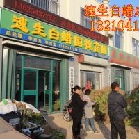 山東速生白蠟/速生國(guó)槐/惠民白蠟小苗及半成品