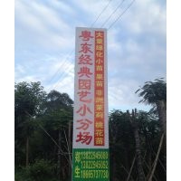 粵東經(jīng)典園藝常年供應(yīng)山扁豆,鳳凰木,桃花心