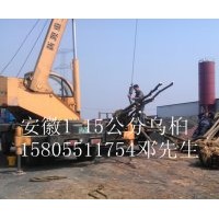 安徽肥西供應(yīng)2-3-4-5-6-8-10公分全冠烏桕，截桿烏桕，烏桕小苗價(jià)