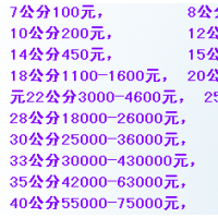 供應(yīng)1-8.CM銀杏樹