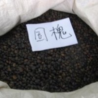 供應國槐，北欒，五角楓，南欒，絲綿木，清風等等
