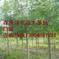 供應(yīng)10公分白蠟12公分白蠟-白蠟價(jià)格