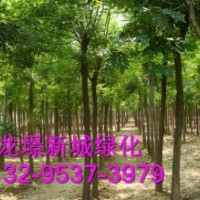 土球發(fā)冒白蠟與全冠白蠟銷售