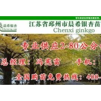 銀杏砧板，銀杏切菜板價(jià)格