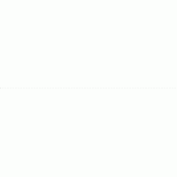 長年供應(yīng)1-80公分銀杏實生苗5-80銀杏嫁接苗 常年出售銀杏大 小樹