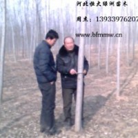 河北楊供應信息