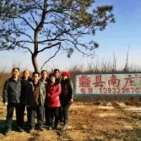 保定--蠡縣南莊園林綠化苗圃場(chǎng) 銷(xiāo)售信息