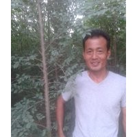 山東3公分榆樹(shù)價(jià)格，4公分榆樹(shù)價(jià)格，5公分榆樹(shù)價(jià)格