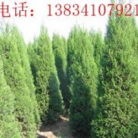 河南儈-2米河南儈-2米5河南儈、河南儈價格