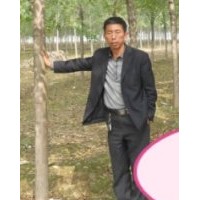 代購綠化苗木，代找優(yōu)質(zhì)苗木貨源