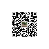 供應(yīng)2016福建羅漢松福建桂花茶花福建天竺桂天竺桂價(jià)格表