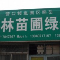 遼寧營口熊岳鑫林苗圃