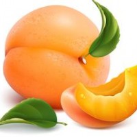 供應(yīng)優(yōu)質(zhì)桃樹(shù)苗、黃桃苗、黃金桃苗