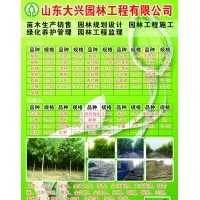 金枝槐