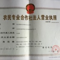 5公分紅花槐 4公分紅花槐 紅花槐價(jià)格 3公分紅花槐