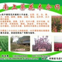各種苗木