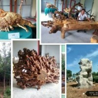 供白玉蘭、紅玉蘭、國槐、流蘇等