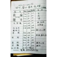 供應(yīng)珍貴名木金絲楠木，楨楠，紅豆杉，曼地亞，香樟，樸樹(shù)，皂皂