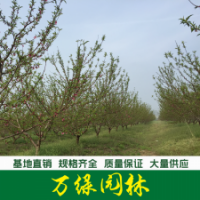 青葉碧桃