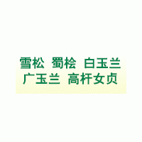 供應(yīng)2.5米蜀檜30000棵25裝車江蘇南京