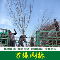 桃樹