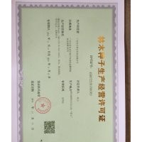 黑金絲柚木6401