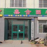 山東李靈寶專供鹽松，金葉白蠟，高桿速生白蠟