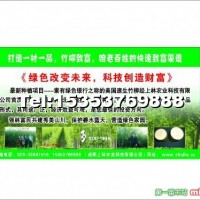 上林竹柳