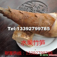 甜竹苗