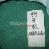 狗牙根種子