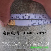 18公分法桐