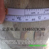 20公分法桐