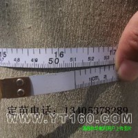 16公分法桐